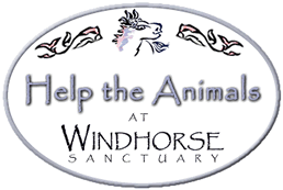 Visit Windhorse Sanctuary Website